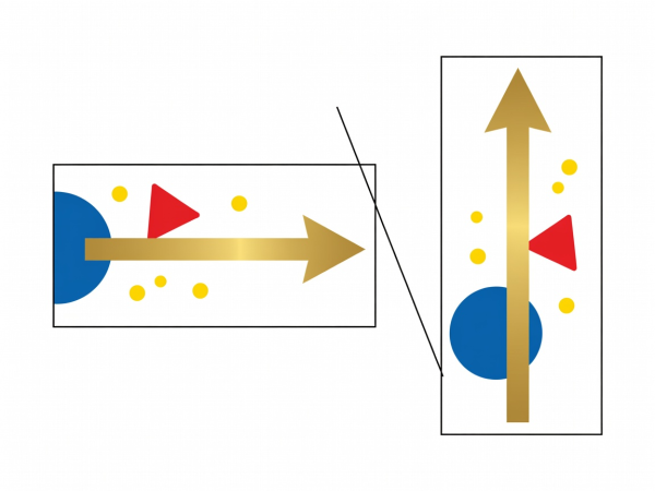 Flat vector transition diagram comparing horizontal and vertical frames, with gold arrows showing motion carried across a cut